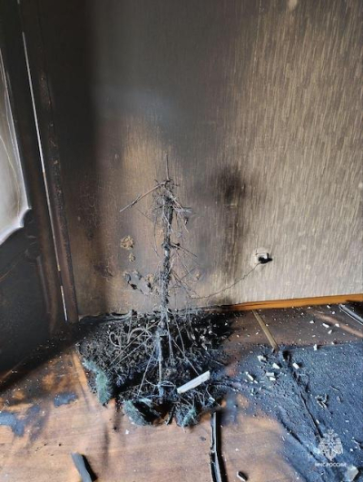 Новогодняя гирлянда на елке спровоцировала пожар в частном доме