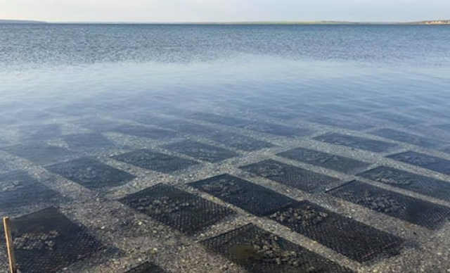 В Крыму заморозили строительство мидийно-устричной фермы