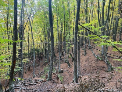 С 1-го августа ограничен доступ на большинство экологических троп Крымского полуострова