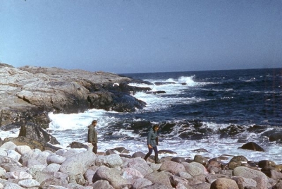 Оккупационные власти планируют обмениваться туристами с Заполярьем, а детей требуют отправлять в Крым