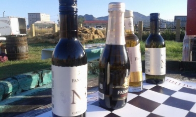 В честь открытия «In Vino Veritas» в Коктебеле вином угощали бесплатно