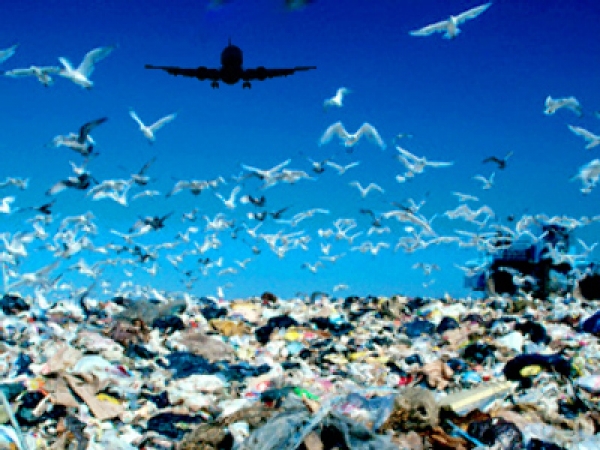 Завод возле Белоглинки строить не будут