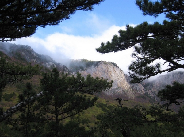 Крымскому Госкомлесу оставят только пять заповедников