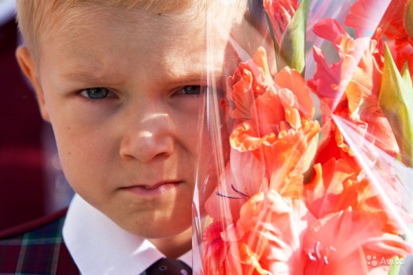 В школах Крыма уменьшается количество учащихся