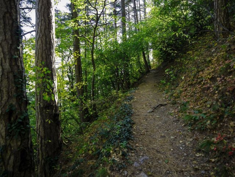 К началу летнего сезона в Ялте благоустроят Боткинскую тропу