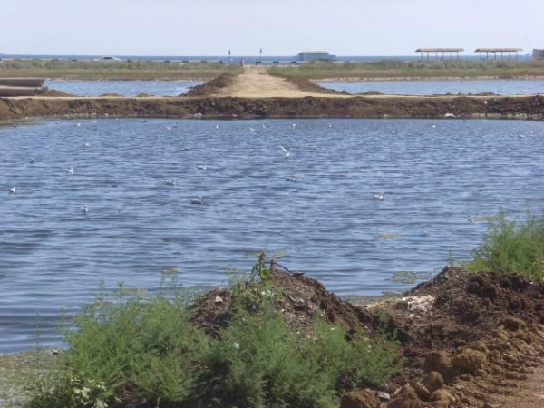 Уникальному озеру грозит уничтожение