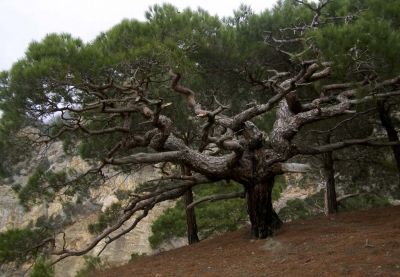 Исключить нельзя оставить