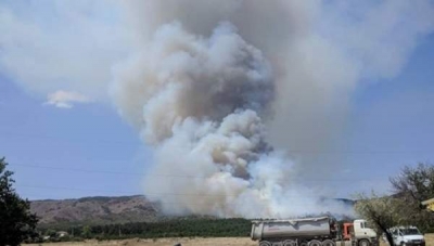 Пожар в Старом Крыму ликвидирован – сгорело 20 га леса