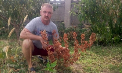 Экологическая обстановка в Армянске ухудшилась?