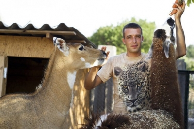 Владельцы зоопарка вынуждены были закрыть его