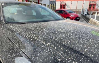 Африканская пыль накрыла полуостров - в ней обнаружены тяжелые металлы