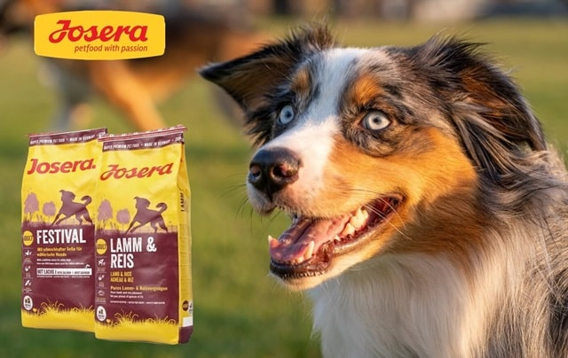 Сравнение двух популярных кормов Josera: Festival vs Lamm &amp; Reis