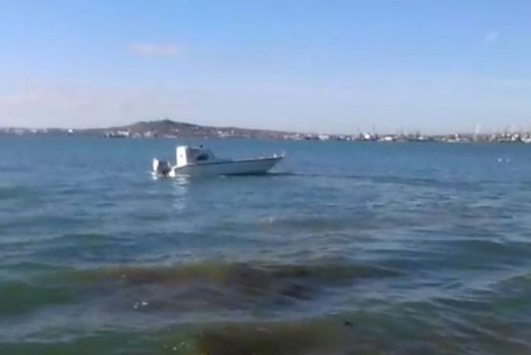 13 000 креветок, которые незаконно выловил браконьер, вернулись в море