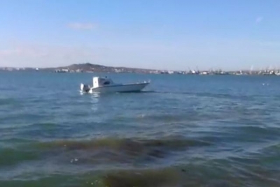 13 000 креветок, которые незаконно выловил браконьер, вернулись в море