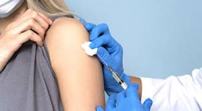 В Крыму стартовала прививочная кампания против клещевого энцефалита