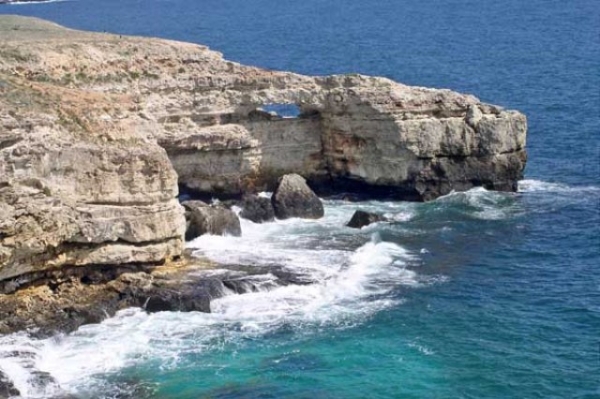 Планы крымских ученых