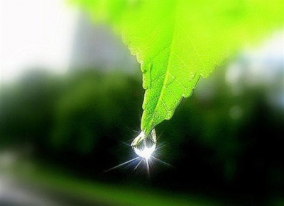 В Крыму неблагоприятная экологическая обстановка