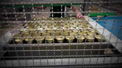 В Керчи бастуют сотрудники рыбоконсервного завода