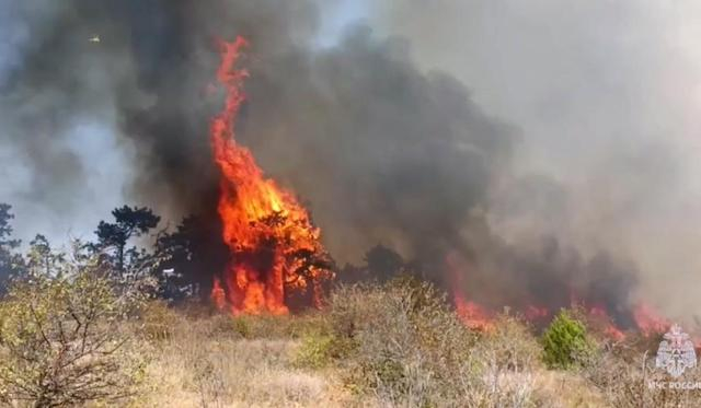 Площадь пожара под Феодосией достигла 150-ти гектаров