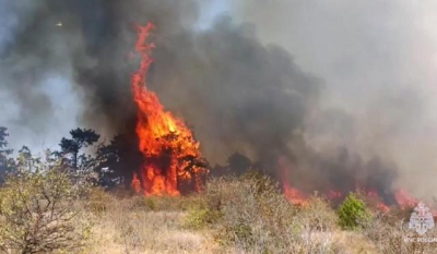 Площадь пожара под Феодосией достигла 150-ти гектаров