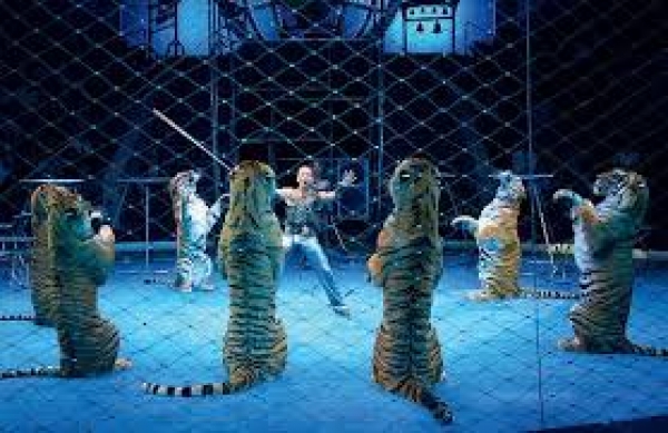 Цирковое представление отменили