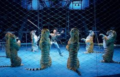 Цирковое представление отменили