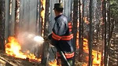 В столице Крыма – угроза пожаров