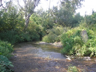 Река Альма разлилась до самого Отрадного