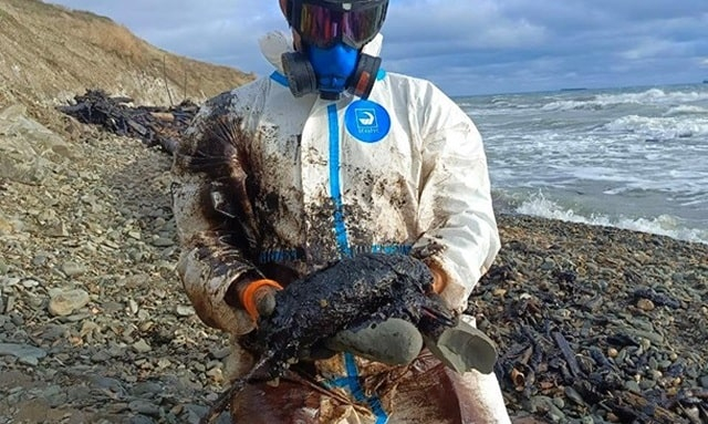 В Керченском проливе снова зафиксированы крупные мазутные пятна