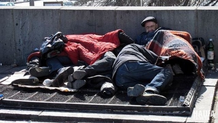 В Симферополе не знают, где построить приют для бездомных