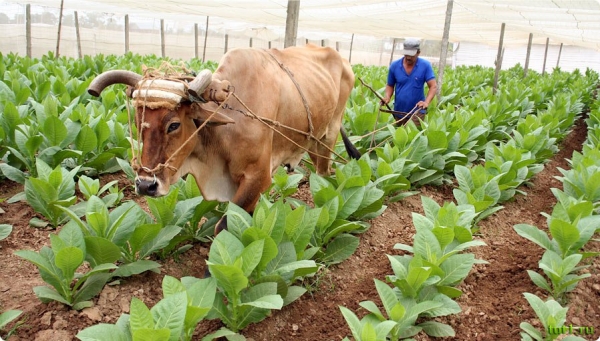 Крым станет обычным промышленным регионом?