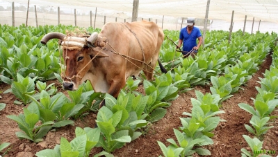 Крым станет обычным промышленным регионом?