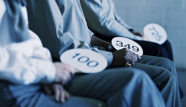 Специалисты из Татарстана помогают ялтинцам овладевать тендерными вопросами