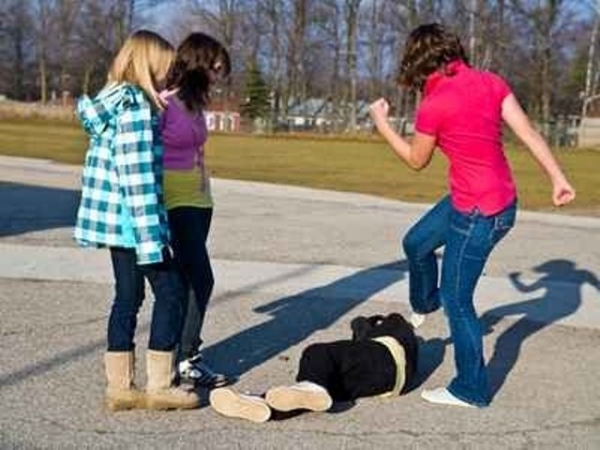 Пьяная школьница избила ровестницу