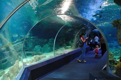 Жители Алушты боятся строительства тоннеля в аквариуме из-за общественного туалета