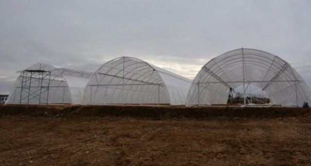 Возле аэропорта «Бельбек» будут выращивать клубнику