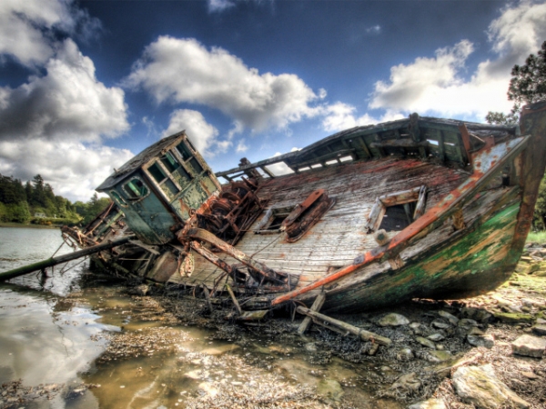 В Феодосии открылся музей рыбы