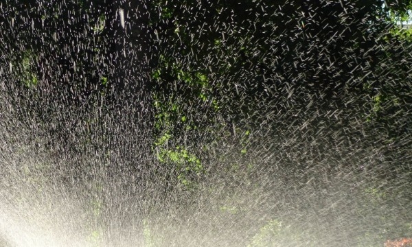 Своей воды в Бахчисарайском районе хватит для орошения четырех гектаров 