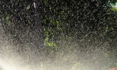 Своей воды в Бахчисарайском районе хватит для орошения четырех гектаров 