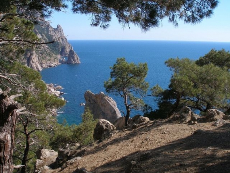 Ночной подход в магазин едва не стоил гостю из Москвы жизни