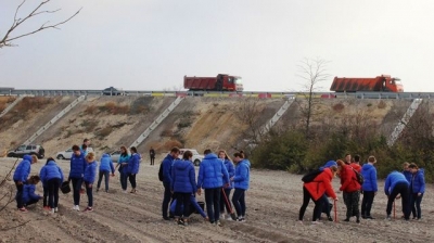 15 000 деревьев высадили в Белогорском районе