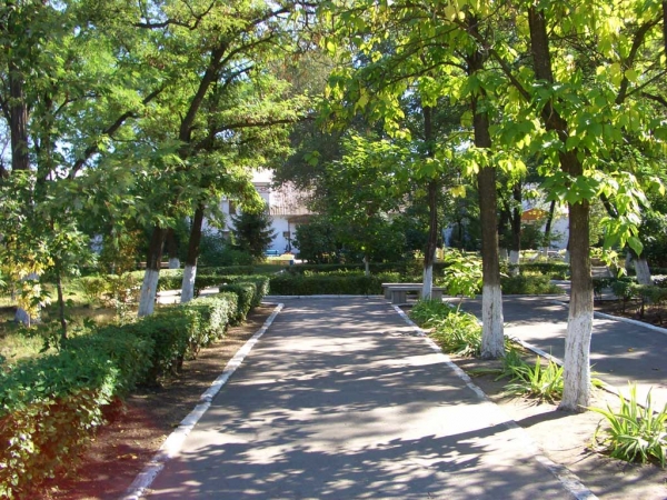 В Симферополе хотят создать парк, посвященный Грибоедову