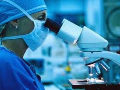 В Ялте эпидемия кишечной палочки