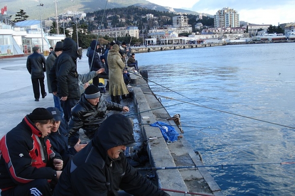 В Ялте посчитали любителей рыбной ловли и продолжают с ними бороться