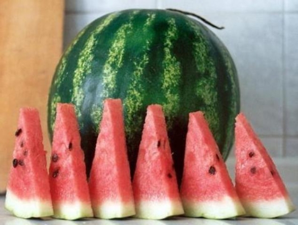 Арбузы будут продаваться с табличками