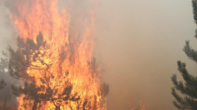 В Бахчисарайском районе возле горы Бурун-Кая горел лес