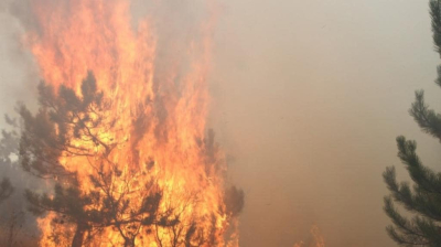 В Бахчисарайском районе возле горы Бурун-Кая горел лес