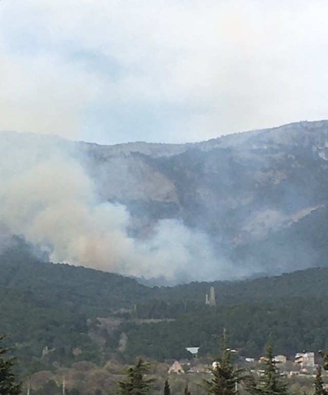 В воскресенье в Ялте сгорело 2,5 га леса