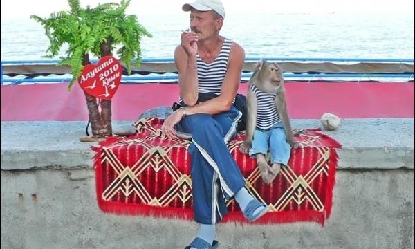 В Ялте вновь замечены жестокие фотографы