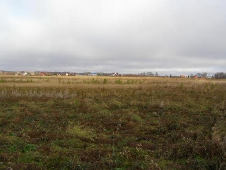 В Крыму мечтают увеличить площади орошаемых земель, но пока наблюдается иная тенденция